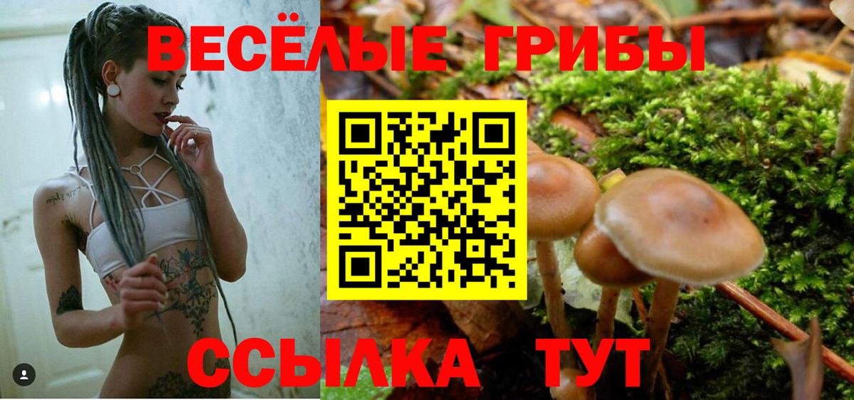 Электрогорск  Галлюциногенные грибы мухоморы  Вход с VPN 