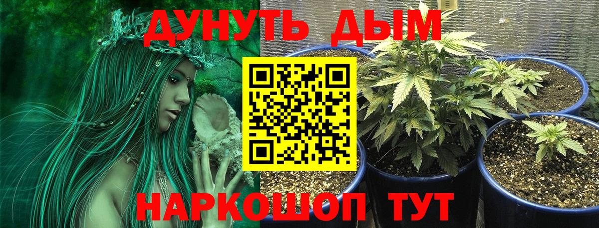 Конопля Ganja Электрогорск